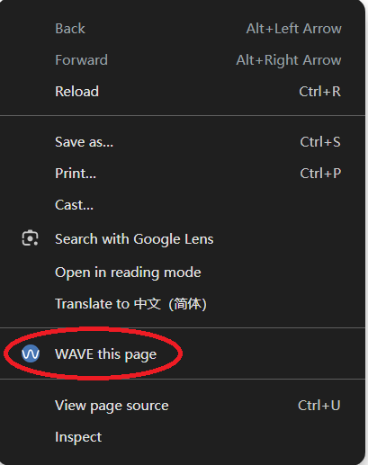 check website using wave